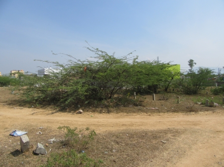3) Li Id : 191 - Pic 4.JPG